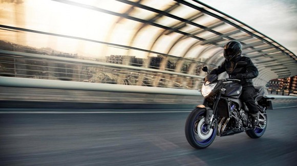 2013 Yamaha FZ8_13
