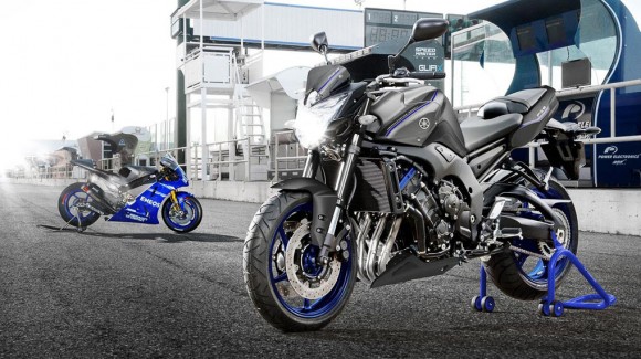 2013 Yamaha FZ8_5