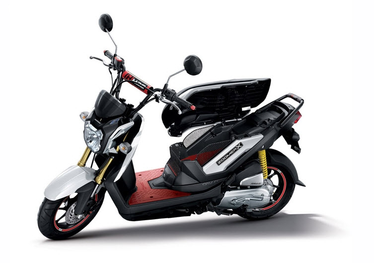 HONDA ZOOMER X 2013 visual data 3