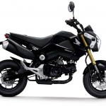More Images of the 2013 Honda MSX125