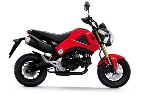 More Images of the 2013 Honda MSX125_1