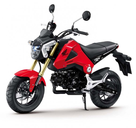 More Images of the 2013 Honda MSX125_14