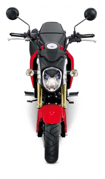 More Images of the 2013 Honda MSX125_7