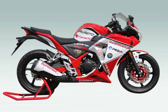 ZJMM R12, Honda CBR250R Look aLike_1