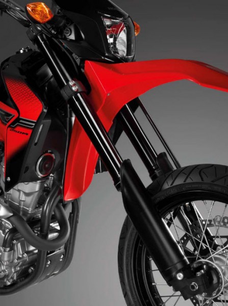 2014 Honda CRF250M Supermoto Fork