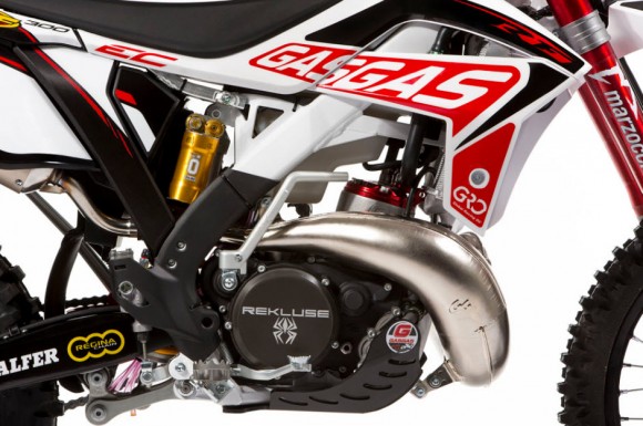 2013 Gas Gas EC 250 and EC 300 Factory Replica_3