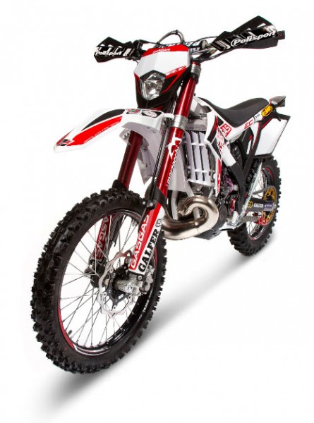 2013 Gas Gas EC 250 and EC 300 Factory Replica_4