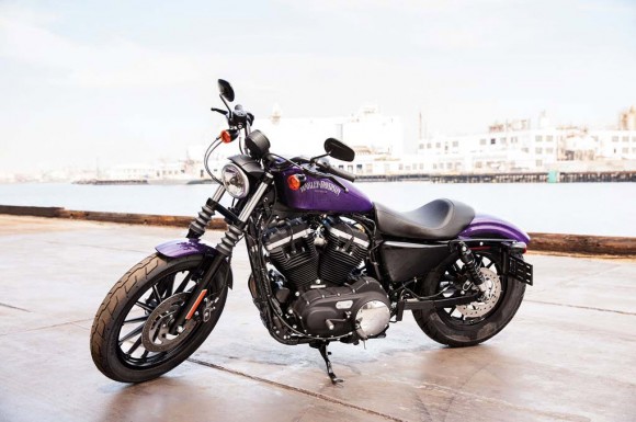2014 Harley-Davidson Iron 883 Purple