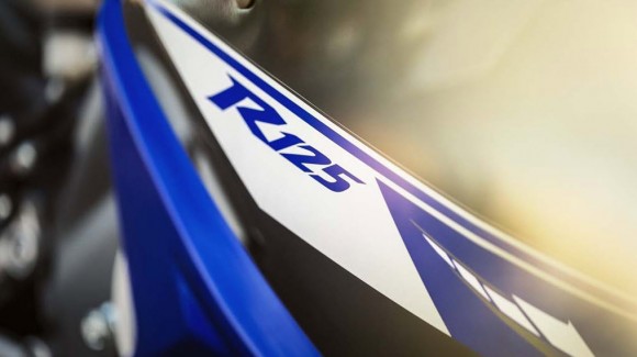 2014 Yamaha YZF-R125 Europe-Specs Graphic