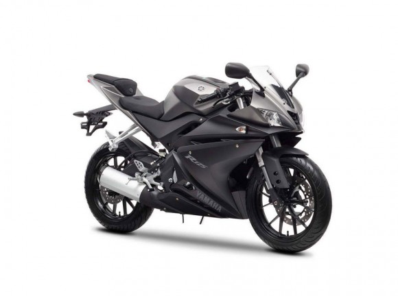 2014 Yamaha YZF-R125 Europe-Specs Mat Grey_4