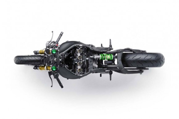 2015 Kawasaki Ninja ZX-10R 30th Anniversary Edition Uncover