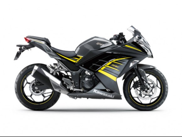 2015 Kawasaki Ninja 250 Metallic Moondust Gray Ebony with Yellow Stripe_2