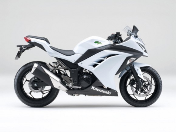 2015 Kawasaki Ninja 250 Pearl Stardust White_2