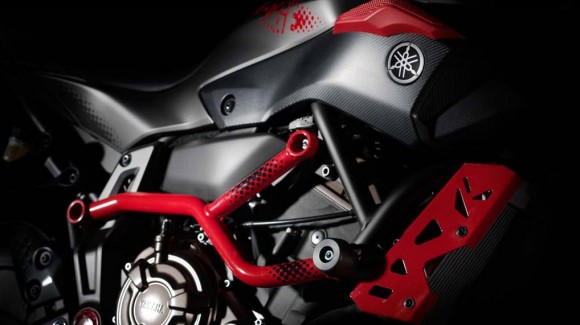 2015 Yamaha MT-07 Moto Cage Detail_1