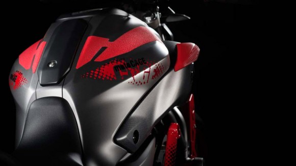 2015 Yamaha MT-07 Moto Cage Detail_10