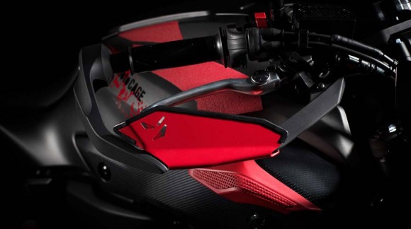 2015 Yamaha MT-07 Moto Cage Detail_5