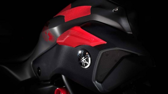 2015 Yamaha MT-07 Moto Cage Detail_6