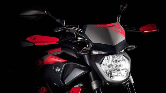 2015 Yamaha MT-07 Moto Cage Detail_7