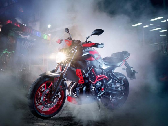 2015 Yamaha MT-07 Moto Cage_1