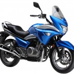 Official Pictures of the 2014 Suzuki GW250S